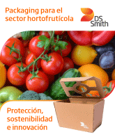 dssmith.com